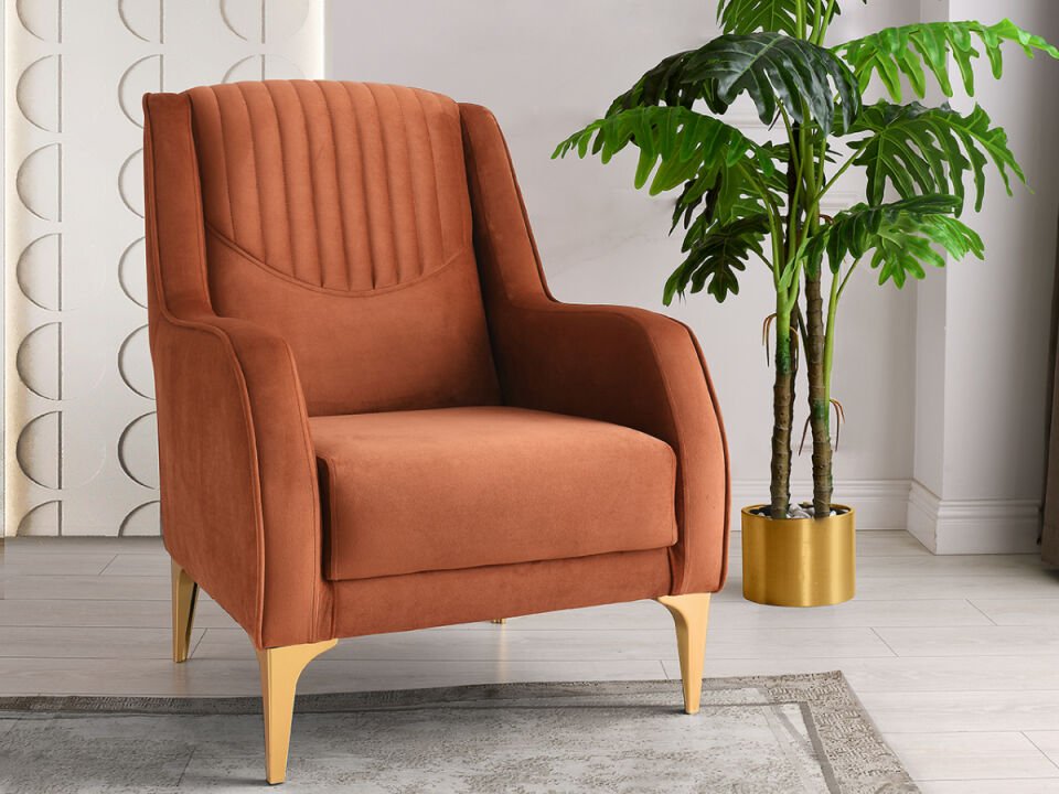 Vega Koltuk Takımı