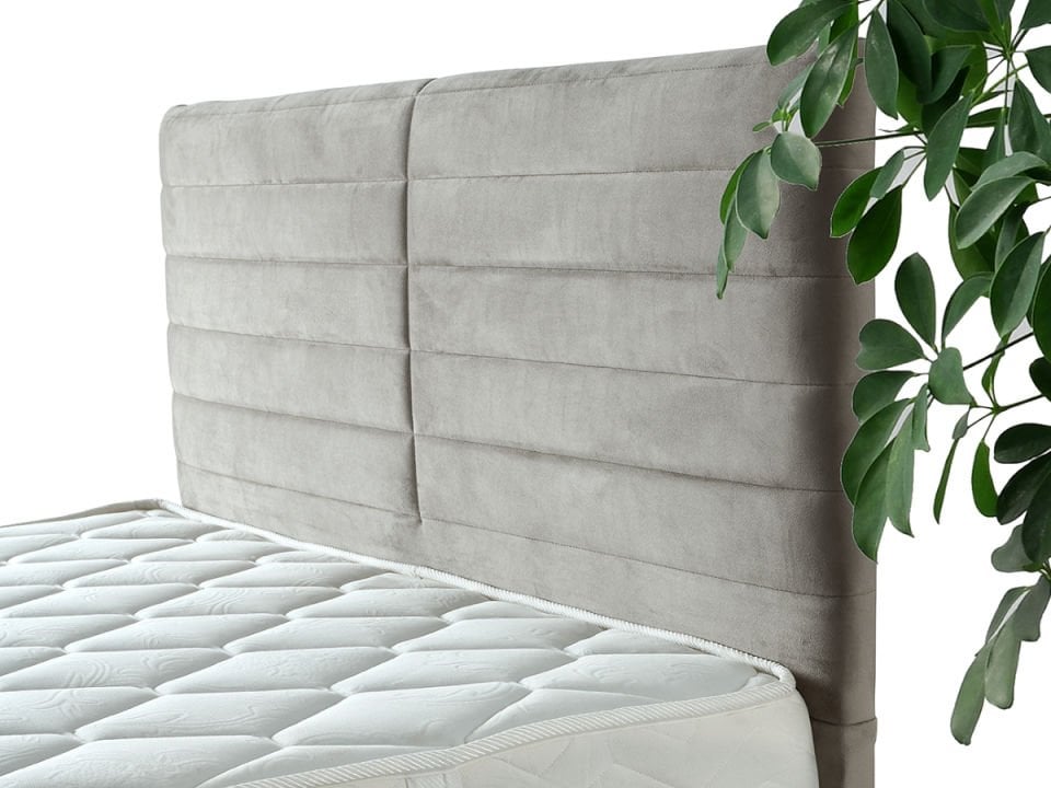 Sefabella Assist Başlık