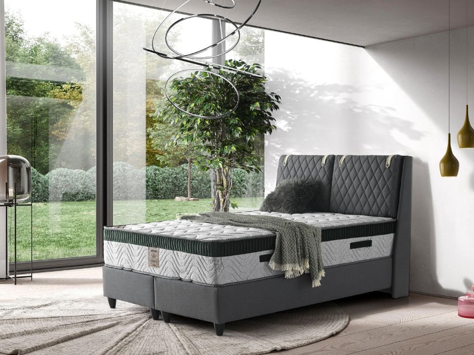 Sefabella Elegance Başlık